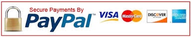 paypal bannernotneeded 384x76