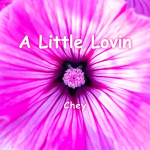 A%20Little%20Lovin%20%28CD%20Single%29